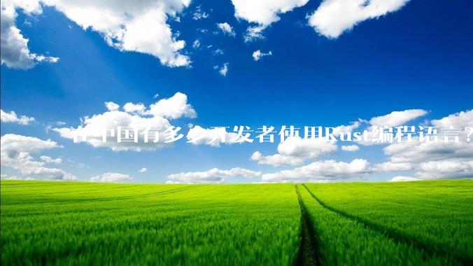 在中国有多少开发者使用Rust编程语言？